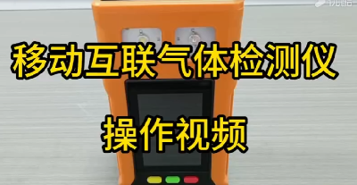 現(xiàn)場空氣監(jiān)測儀 PTM600-S